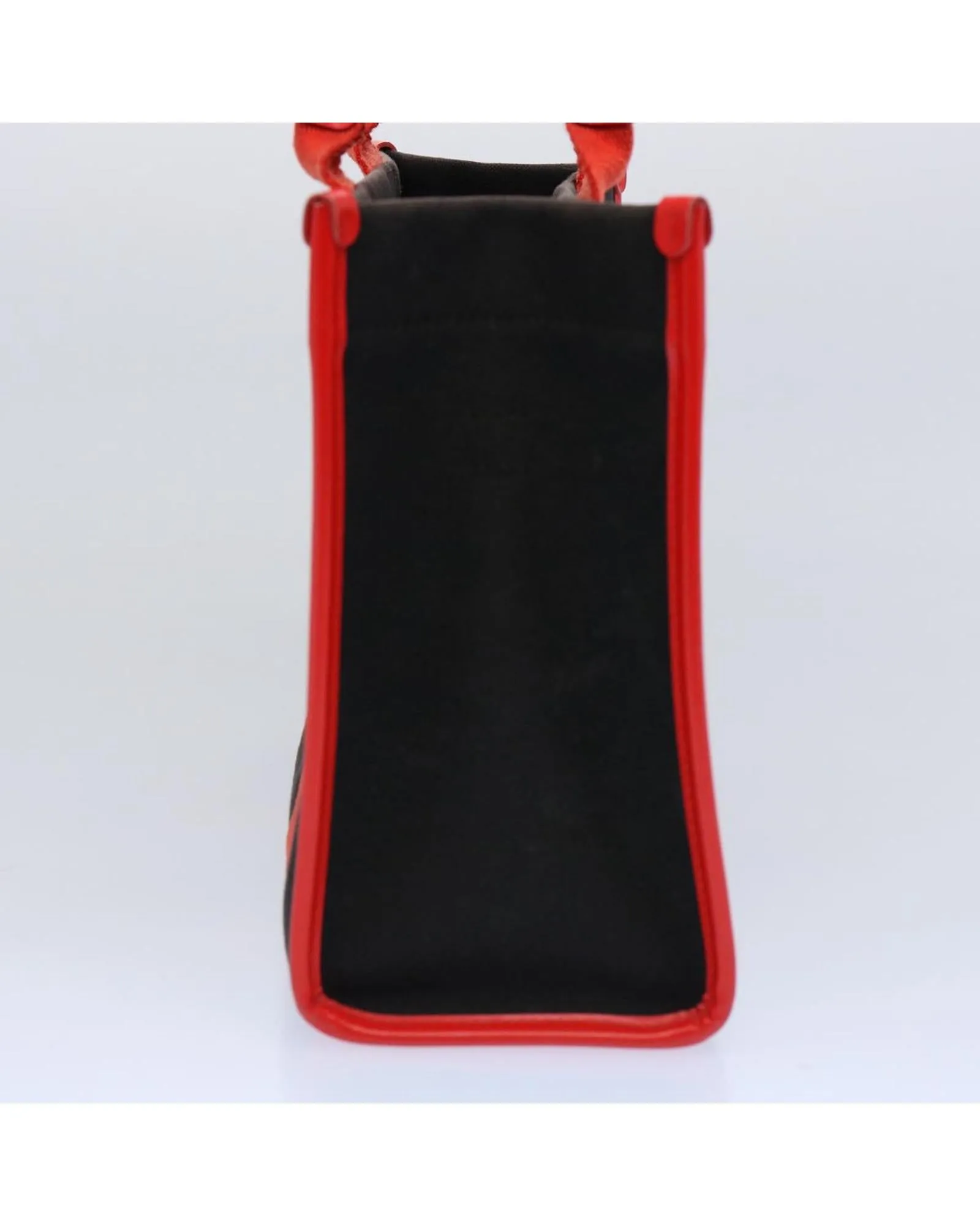 Canvas Small Hand Bag with Hard Ware Detail in Black and Red